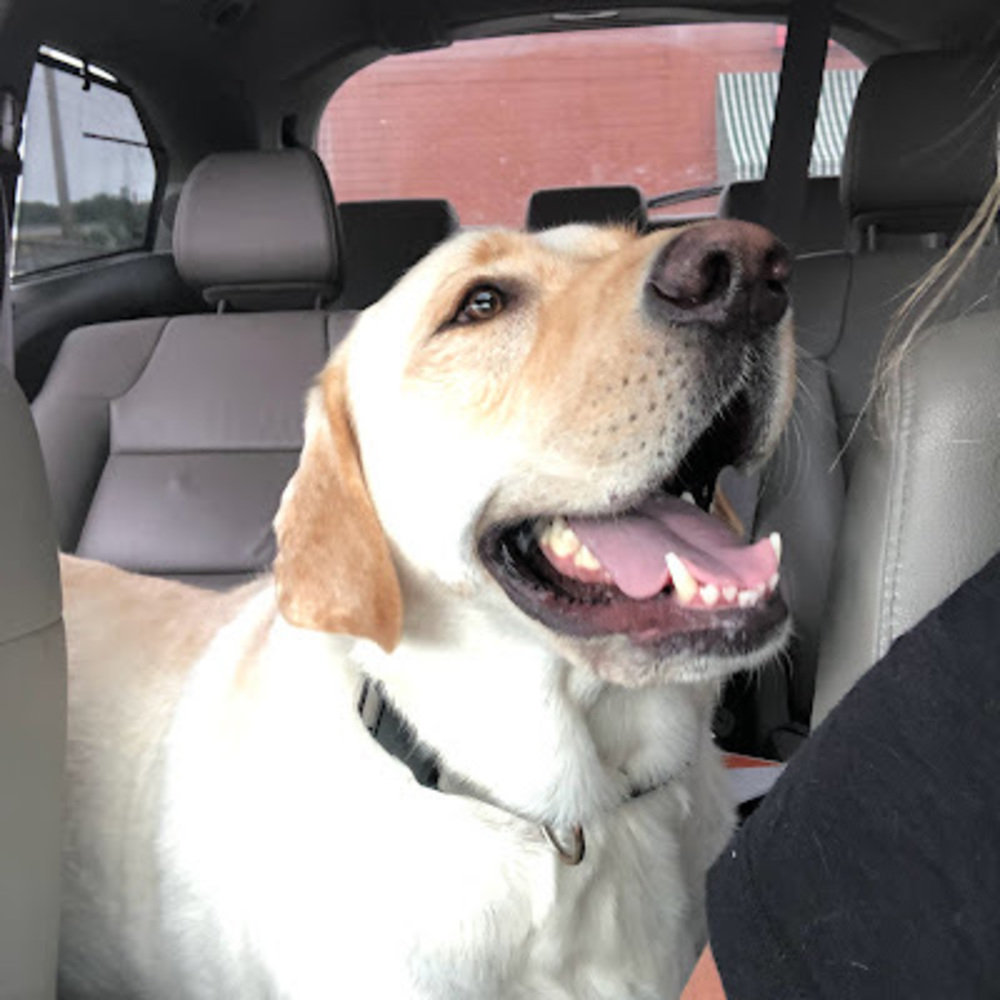 Meet your Posher, Karen